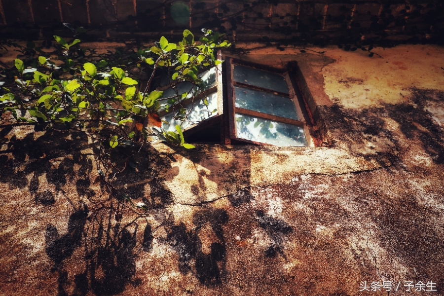 行麦径风景时宿轻沙绵风中