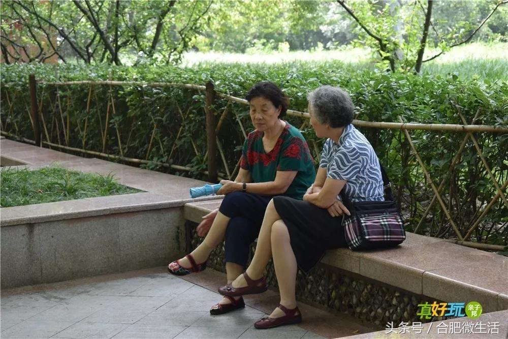 老合肥杏花公园,合肥曾经有两个杏花公园