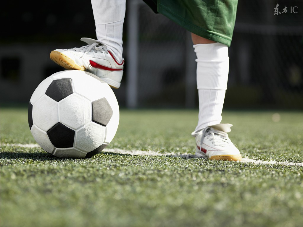 球王有很多但精灵只有一个,小说球王