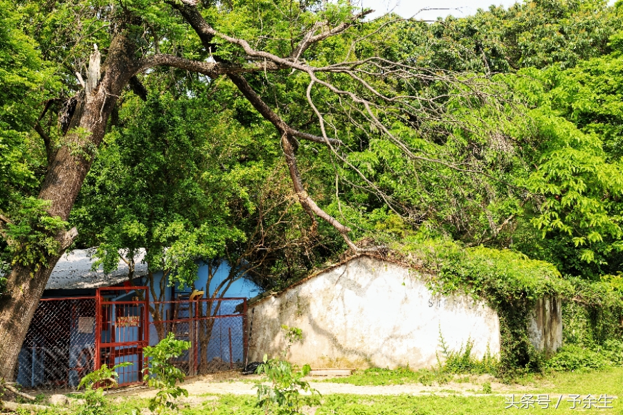 行麦径风景时宿轻沙绵风中