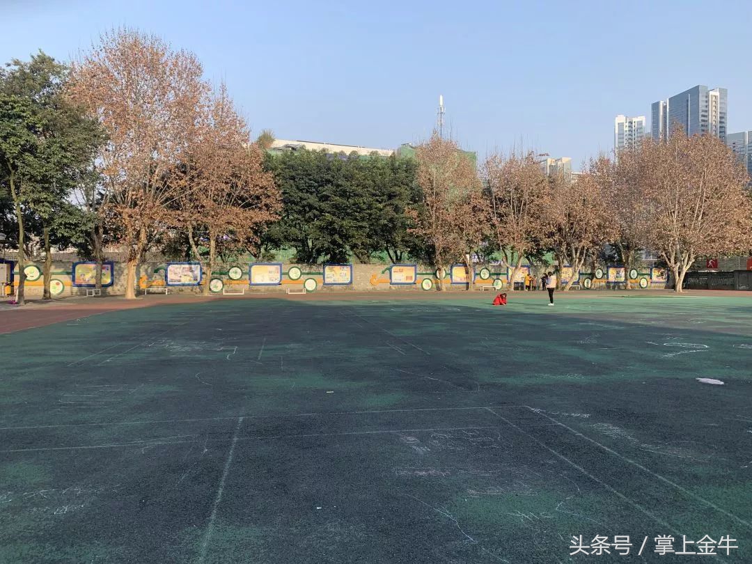 再见茶小，你好新校区！