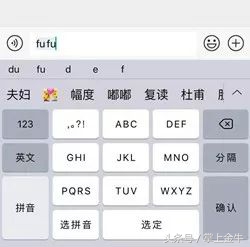 输入法只能打拼音汉字打不出来,成语输入法打不出来的词