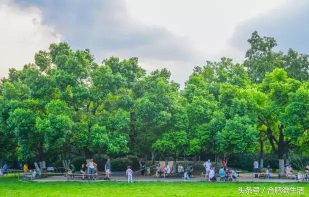 老合肥杏花公园,合肥曾经有两个杏花公园