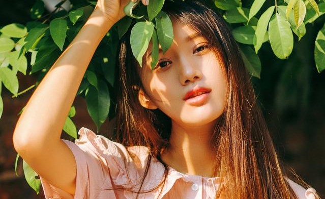 小说一只狼,一只狼小说