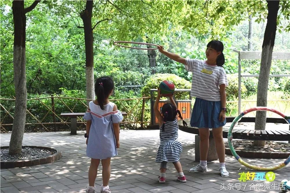 老合肥杏花公园,合肥曾经有两个杏花公园