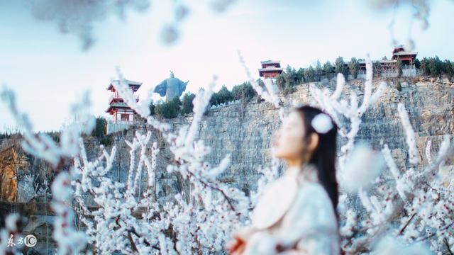 小说：洞房花烛夜，她惨遭酷刑，王爷认为她是那女人派来的人