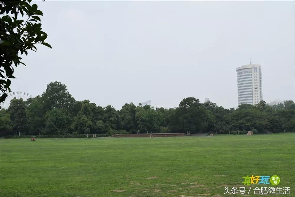 老合肥杏花公园,合肥曾经有两个杏花公园