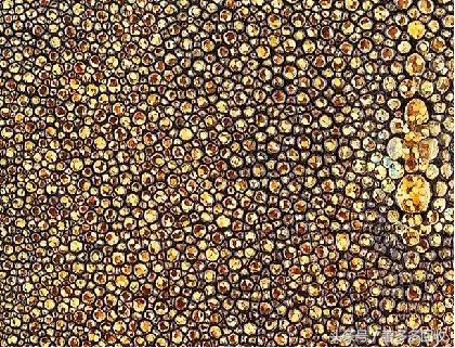 哪里买chanel包包,chanel购物包包值得买吗