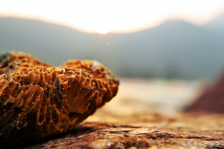 行麦径风景时宿轻沙绵风中