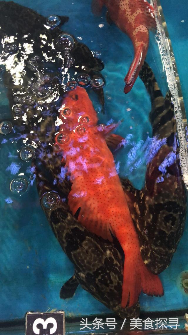 海口一座充满回忆的城市,值得怀念的城市