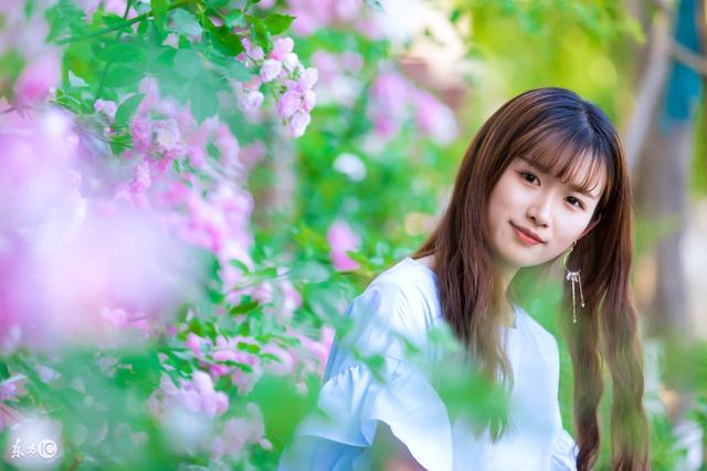 小说：总裁几句话决定了贪污经理的前途，褒奖了见义勇为的女孩