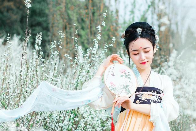 皇子爱上妃子的小说,小说皇子和宫女的恋爱