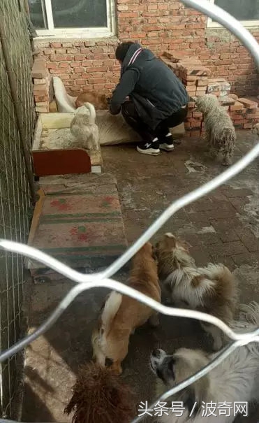 閲戞瘺绗煎瓙閲岀殑娉拌开,閲戞瘺鍜岀憻鐟熷彂鎶栫殑娉拌开