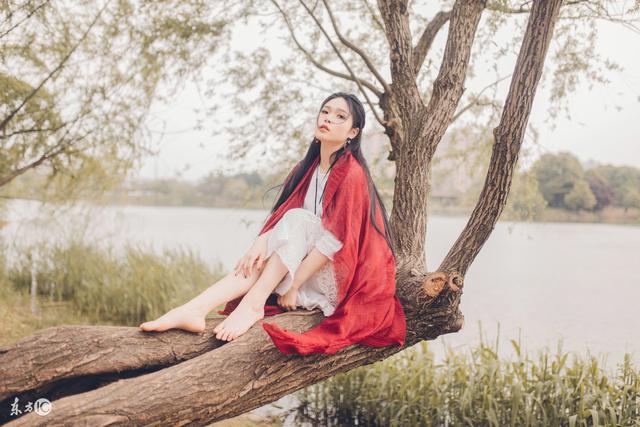 小说因为她丑被王爷退婚,小说被将军宠上天