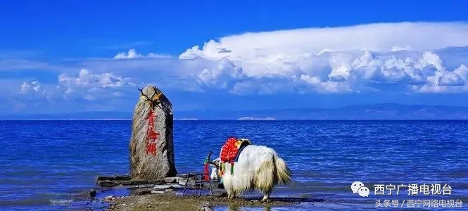 家底厚底气足，青海水景美如画！（二）