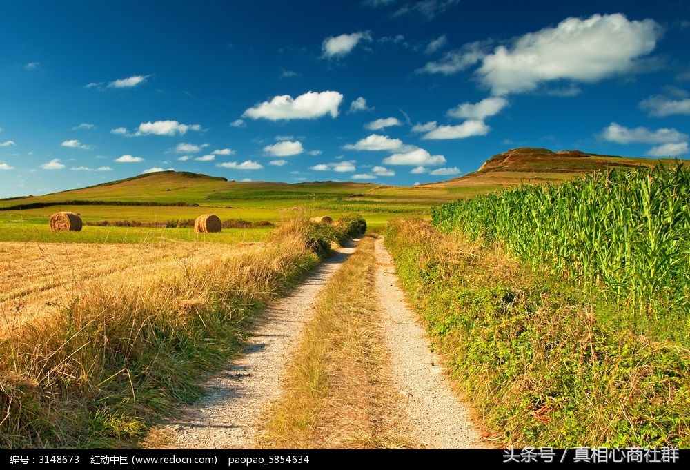 专注学习和深度思考,高效学习的本质是专注和坚持