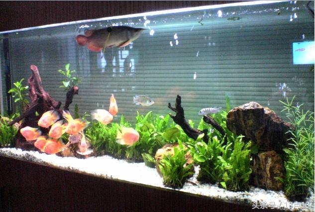 催桃花的风水物品摆放,风水如何招财招桃花