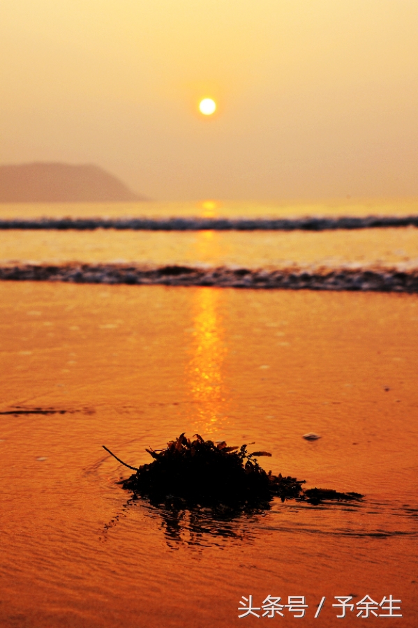 行麦径风景时宿轻沙绵风中