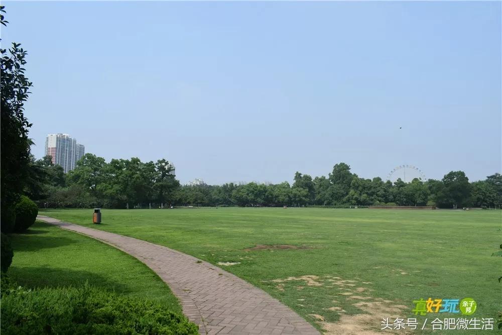 老合肥杏花公园,合肥曾经有两个杏花公园