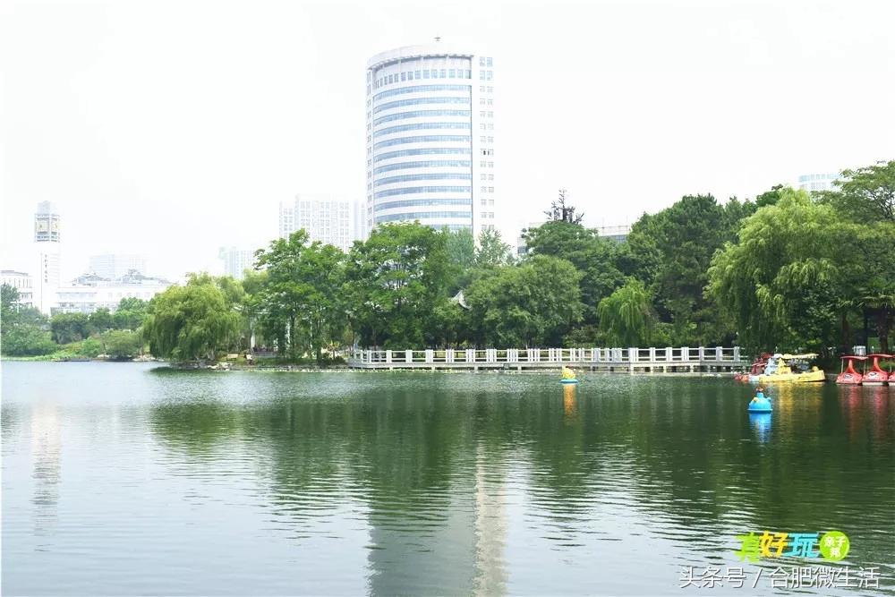 老合肥杏花公园,合肥曾经有两个杏花公园