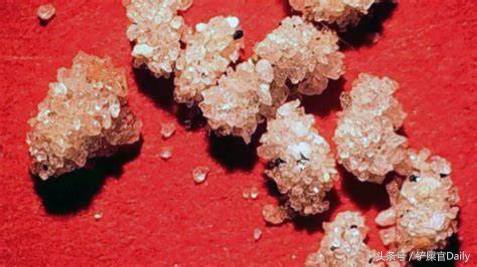 宠物身上有跳蚤寄生虫怎么办,宠物常见寄生虫