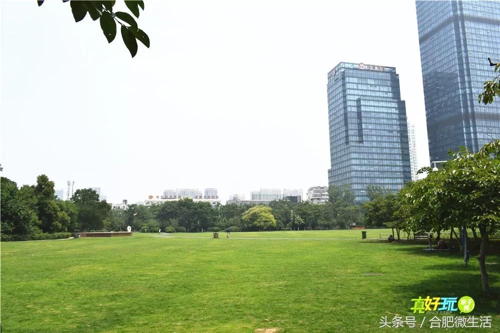 老合肥杏花公园,合肥曾经有两个杏花公园