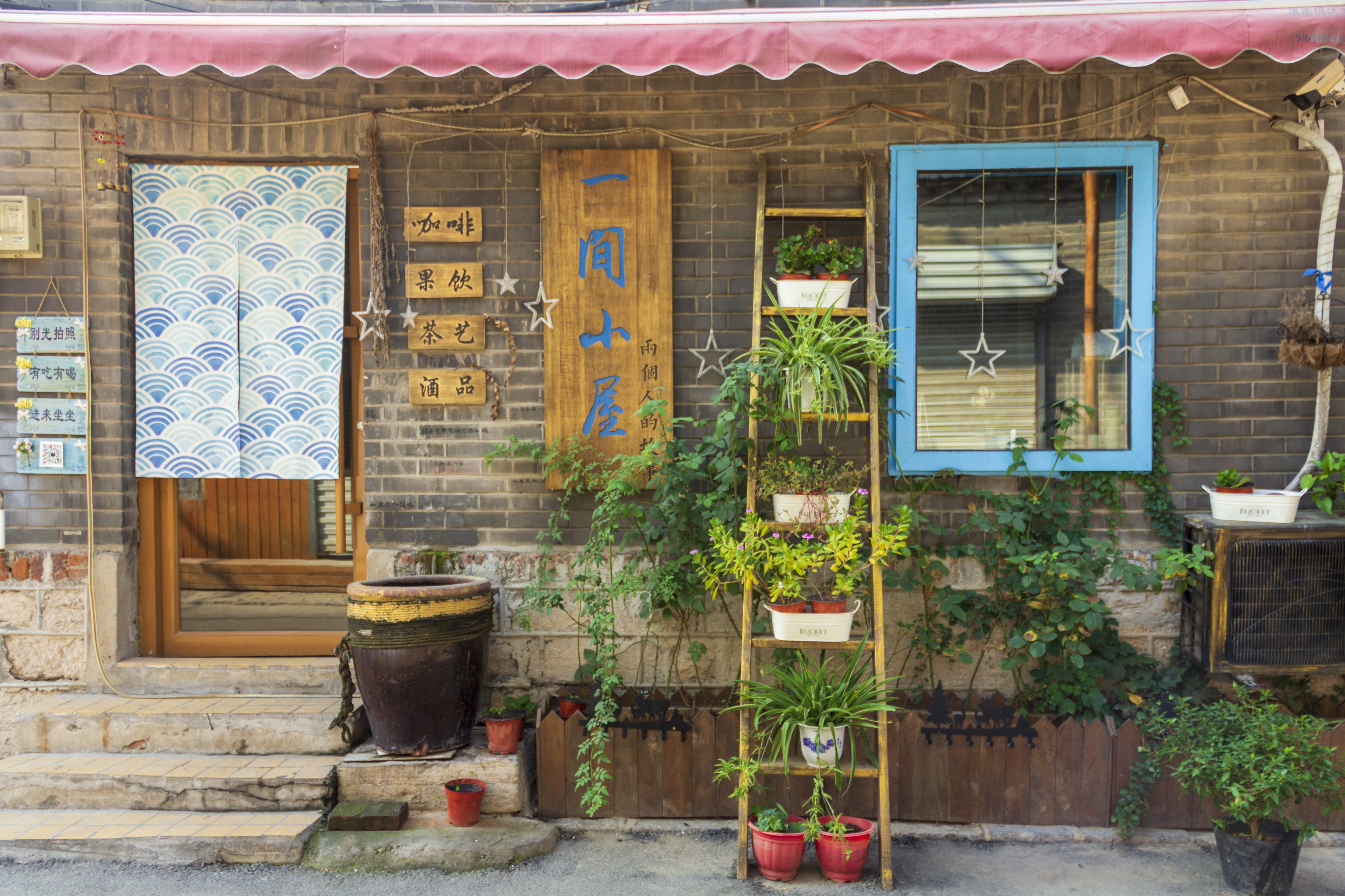川端康成花的圆舞曲,川端康成花之舞