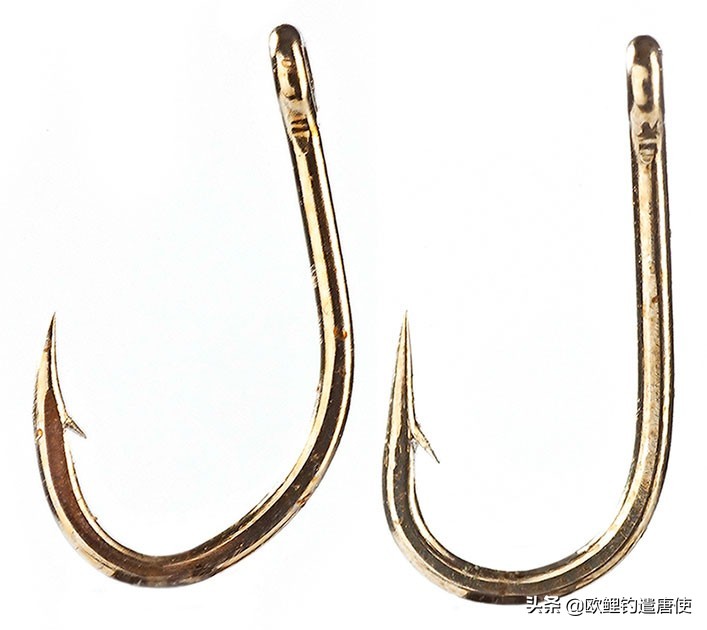 钓鱼也是一种技术,科学钓鱼的基本原理