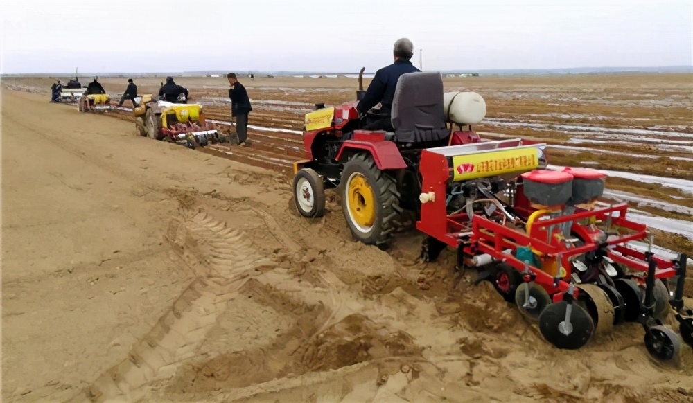 花生出苗后枯萎怎么办,花生种子腐烂什么原因