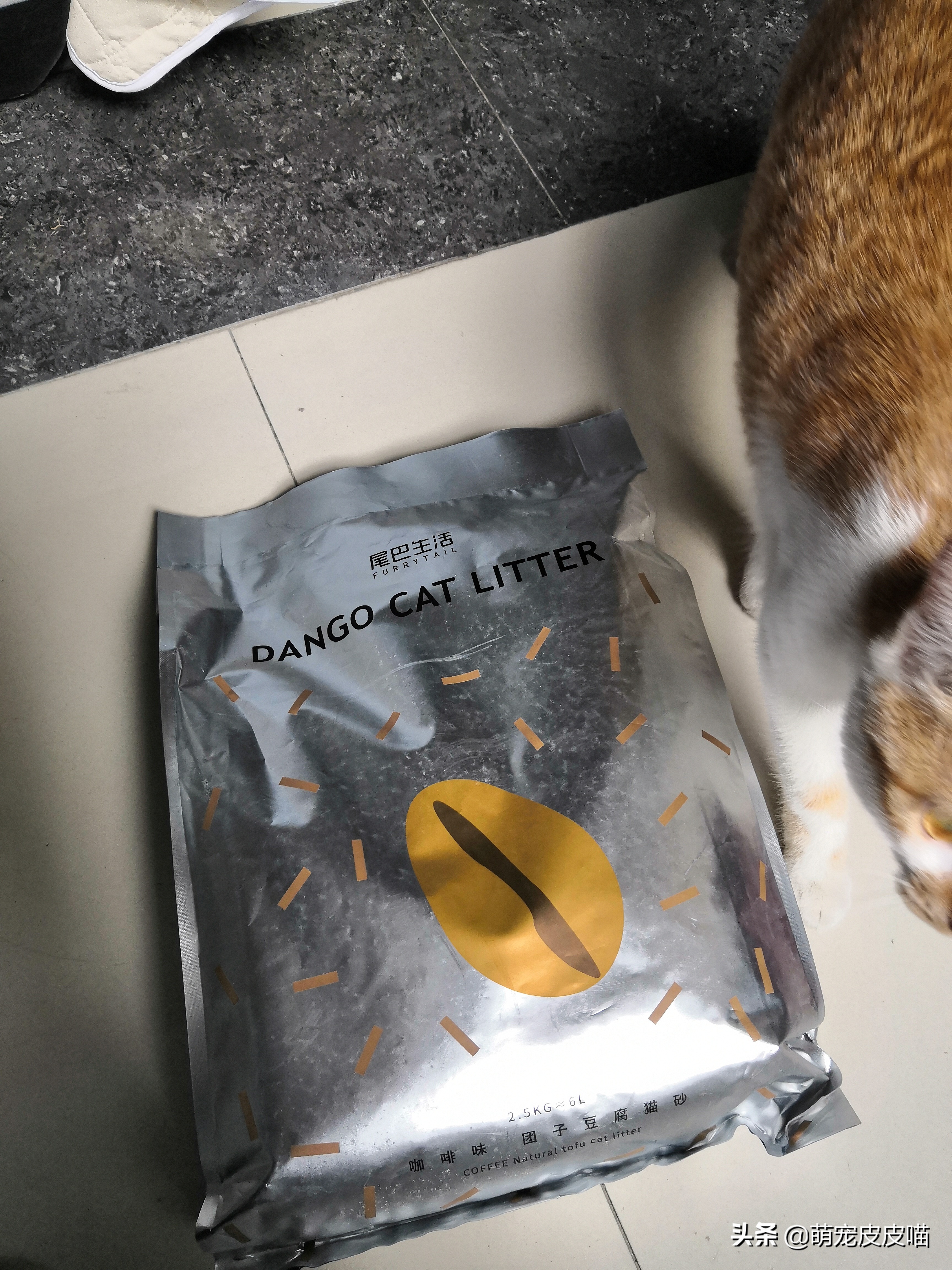 尾巴生活豆腐猫砂和一罐好鱼猫罐头测评，需要的铲屎官看过来哦