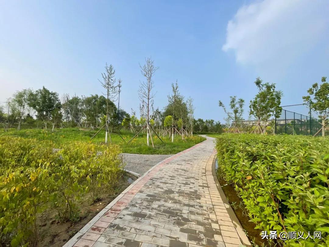 顺义体育公园,顺义新开的公园在哪