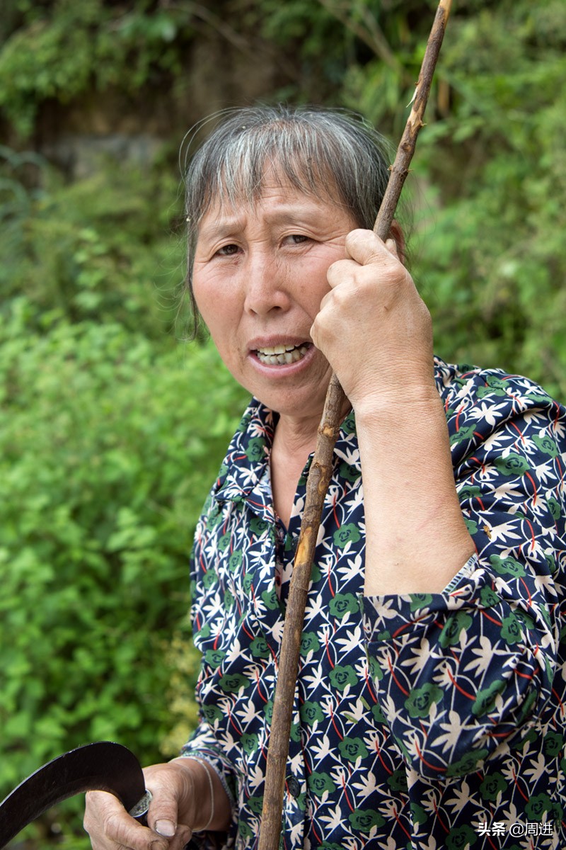 这种果子的果肉酷似一条虫子,野外发现一种奇怪的野果