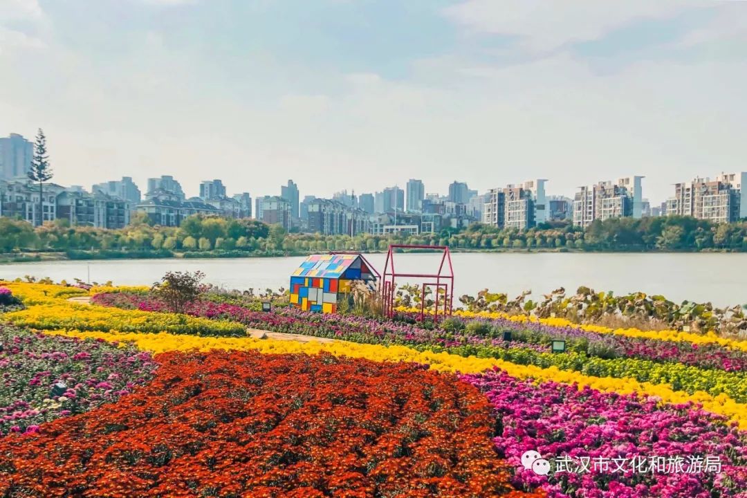 花点时间游荆门,花点时间武汉天地店