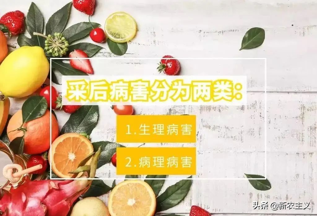 农产品采后高损耗原因及对策,农产品采后损耗