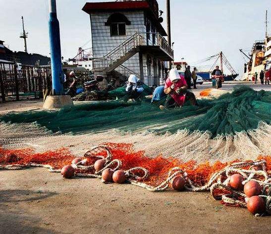 渔网手抛网推荐,手抛网捕鱼泰兴