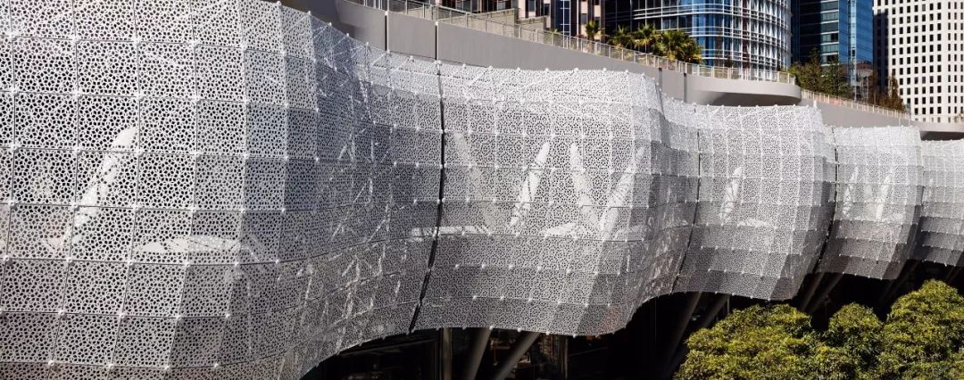 西萨佩里的死因,西萨佩里怎么死的