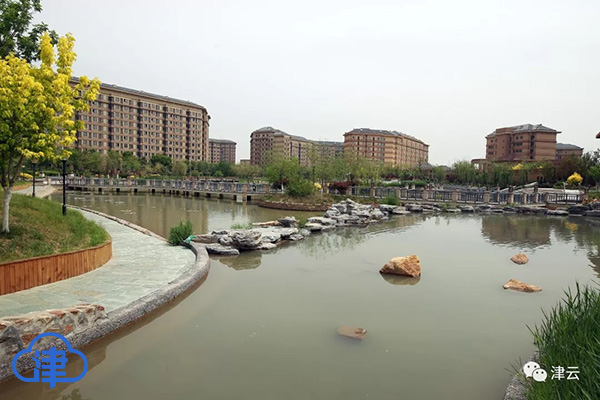 天津团泊健康产业园,天津中日健康产业园团泊西区