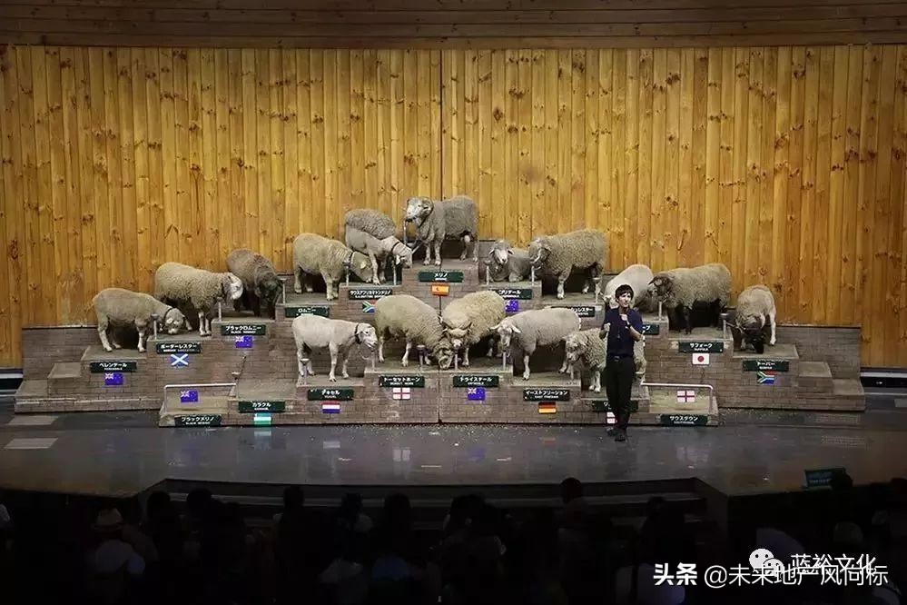 母亲牧场要玩多久,低成本花园家庭农场亲子乐园