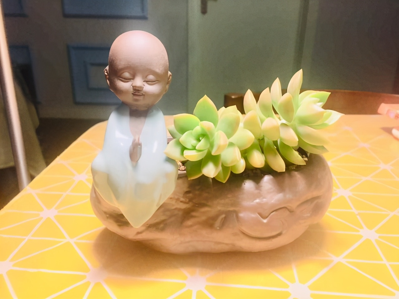 10种多肉天生爱徒长，不能“宠”着养，虐一虐才漂亮