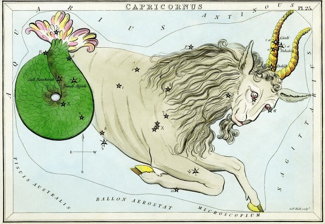 男摩羯女天秤是冤家么,为什么天秤女很吸引摩羯男