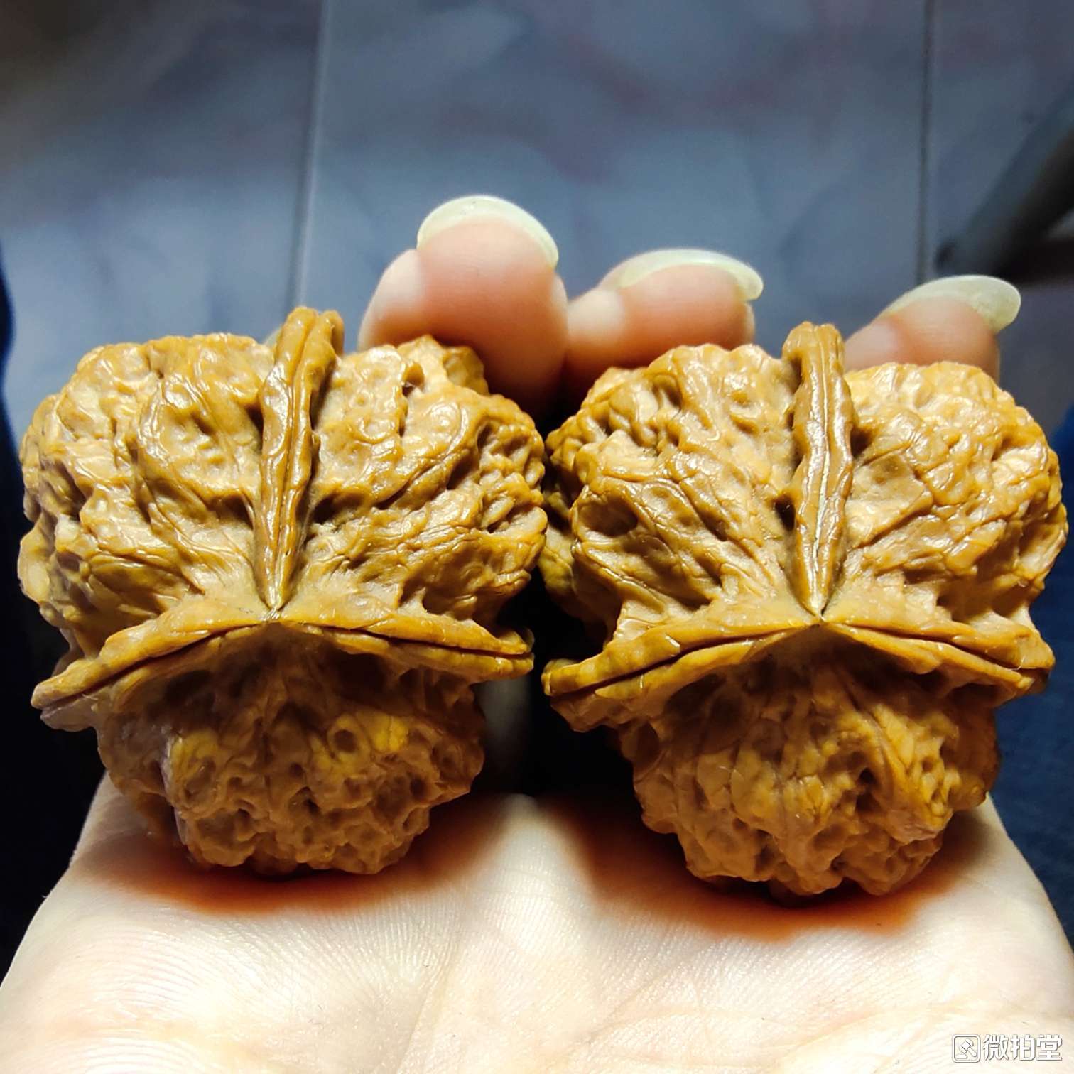 文玩核桃产地哪里的最好,河北涞水核桃文玩产地