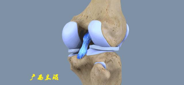 交叉韧带损伤的mr表现,后交叉韧带损伤的诊断实验