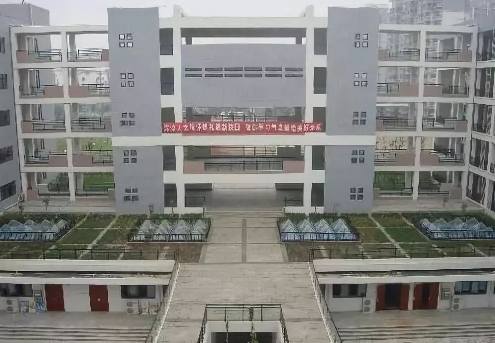 100%摇号民办校应对措施,摇号民办学校未来发展