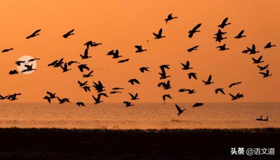 觊觎读音,觊觎读音有相近的词吗