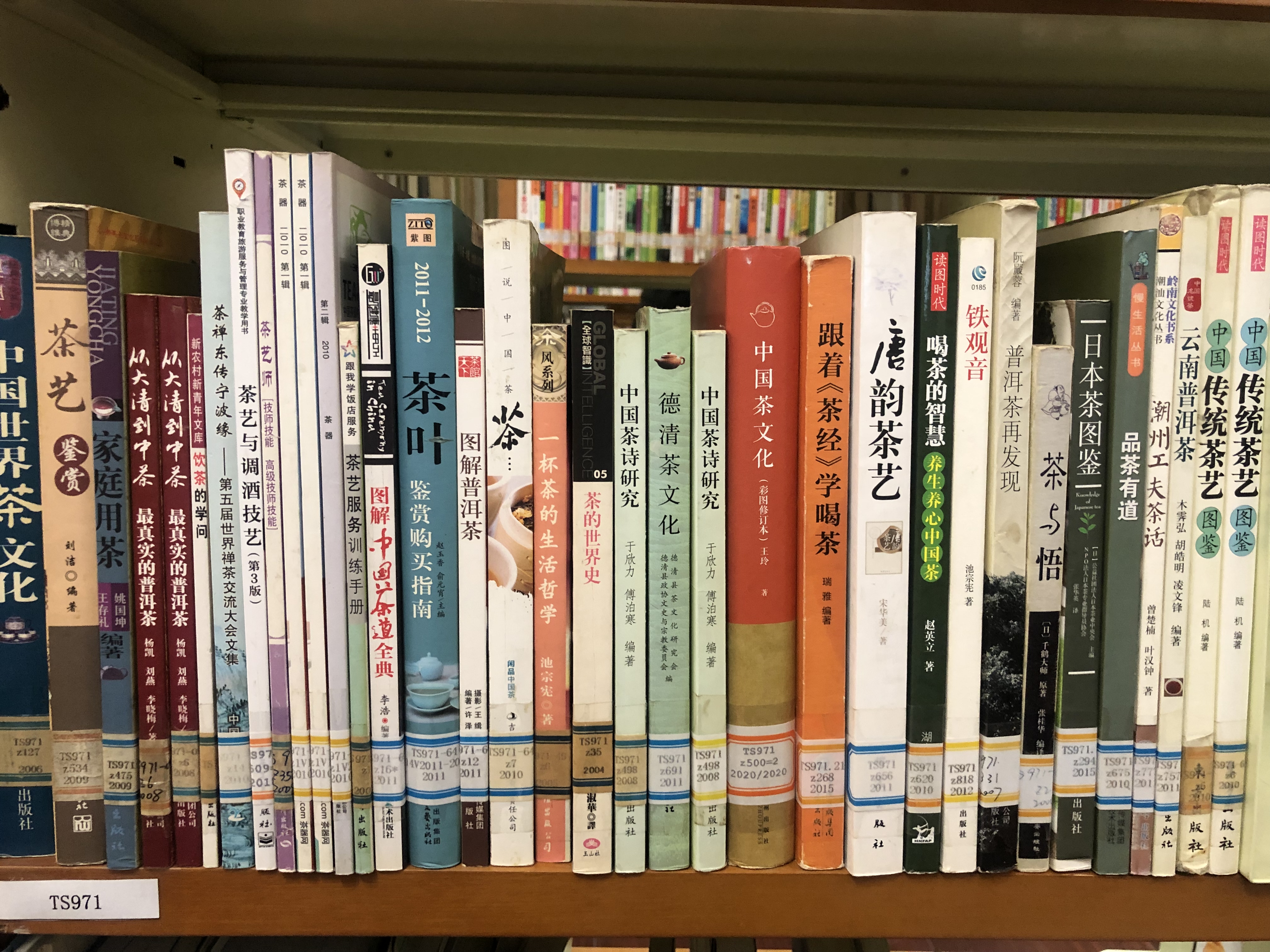 西湖龙井春茶季,龙井茶西湖明前春茶