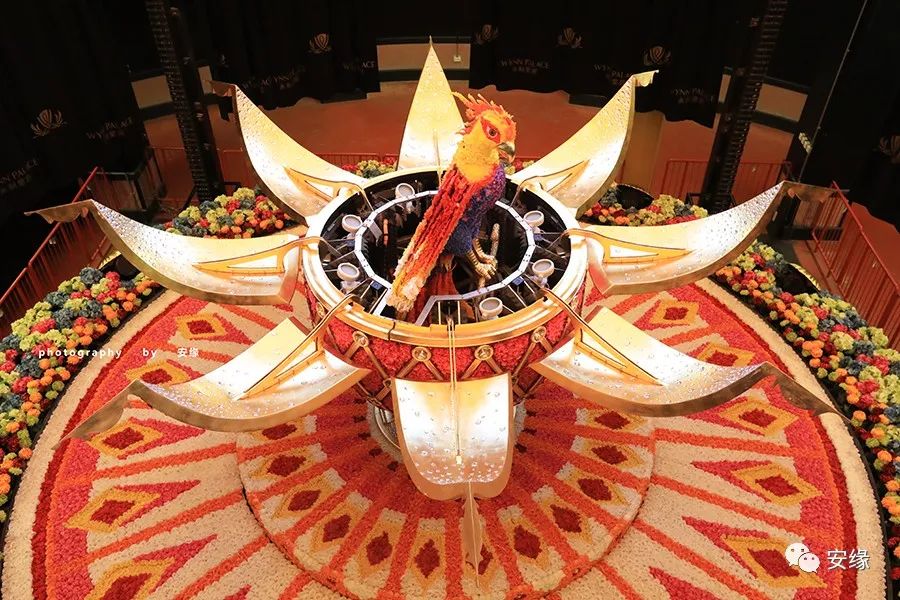 住进澳门的拉斯维加斯，打开“魔法盒”里活色生香的夜生活