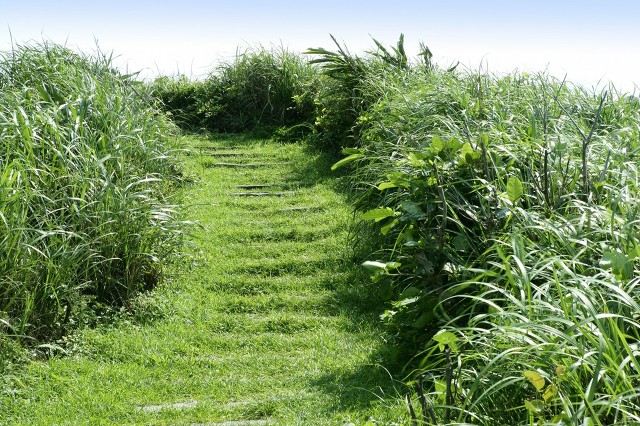 上有老下有小要不要去外地工作,年轻人回农村创业项目