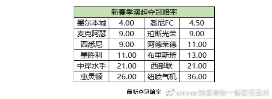 winner婢冲ぇ鍒╀簹,winner瓒崇悆
