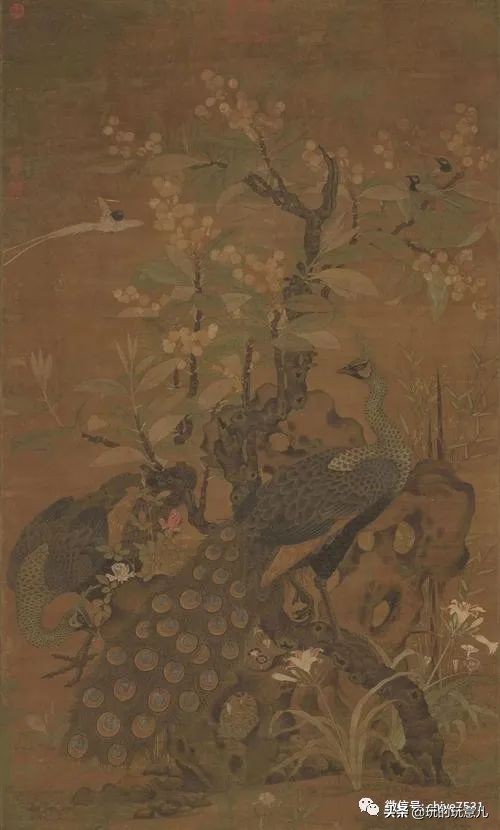 中国画孔雀名作,中国名画孔雀