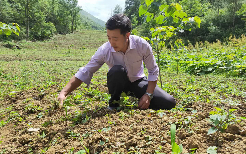 飞地荆竹园：美好生活“起飞”